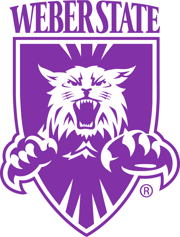 Weber State Wildcats 1996-2012 Alternate Logo DIY iron on transfer (heat transfer)